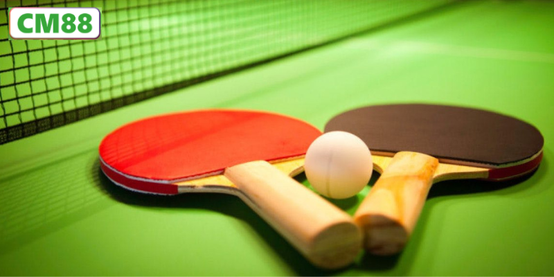 Các Giải Đấu Bóng Bàn Lớn Có Mặt Trên CM88